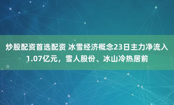 炒股配资首选配资 冰雪经济概念23日主力净流入1.07亿元，雪人股份、冰山冷热居前